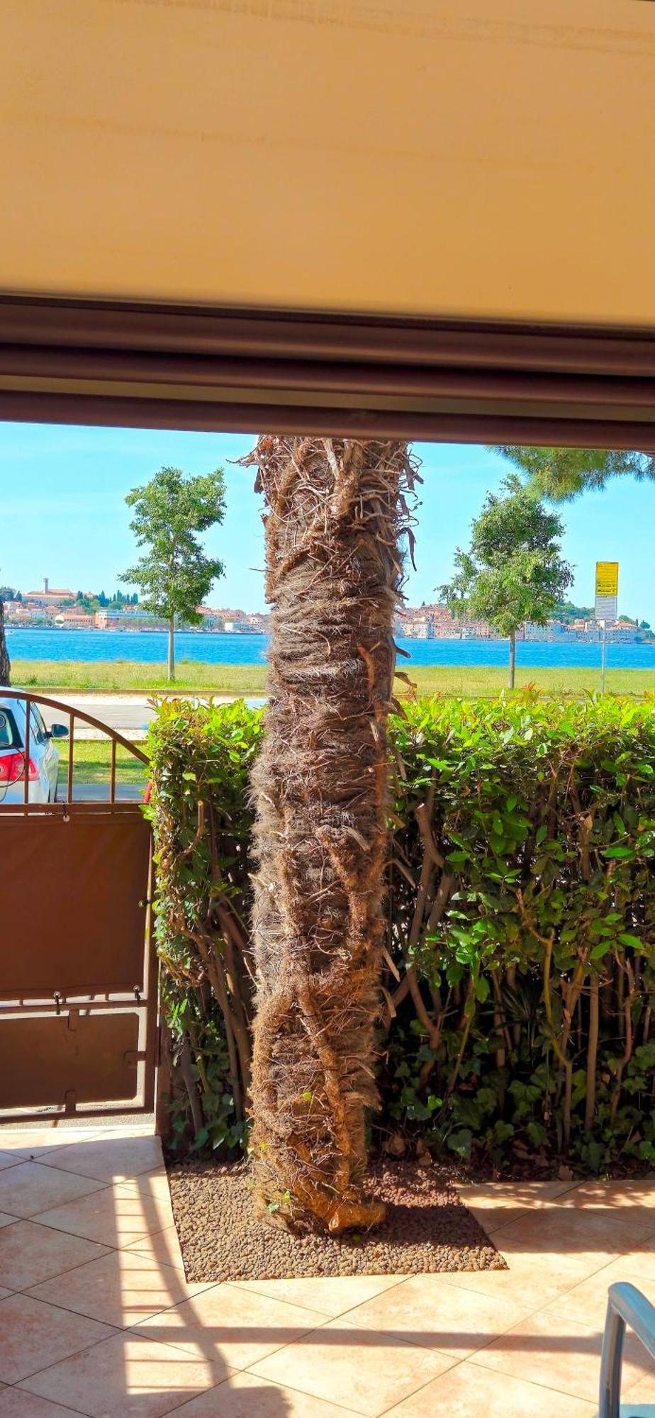 Blu Infinito Apartment&studios * Rovinj